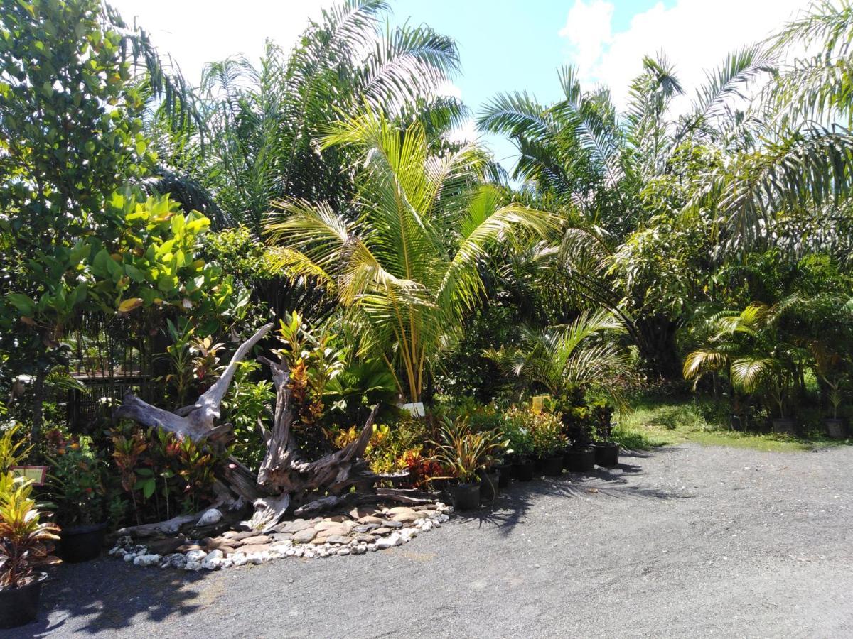 Krasom Homestay 攀牙府 外观 照片