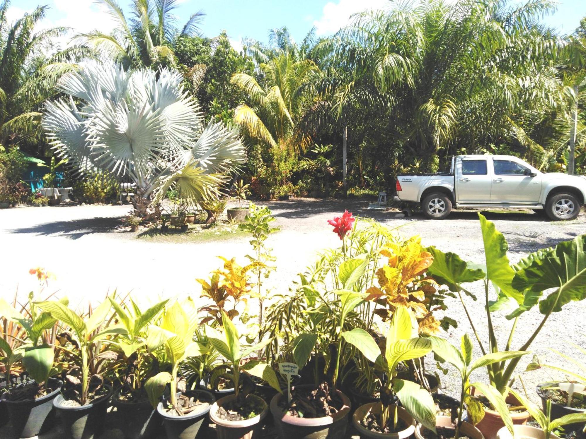 Krasom Homestay 攀牙府 客房 照片